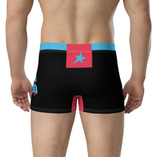 Load image into Gallery viewer, F*CK THE SYSTEM - Boxer Briefs
